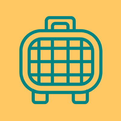 cat camas y transportadoras