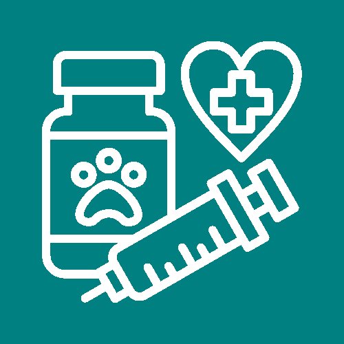 servicio de vacunacion