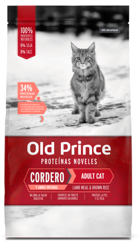 Old Prince Gato Adulto
