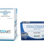 ITRACONAZOL ZOOVET