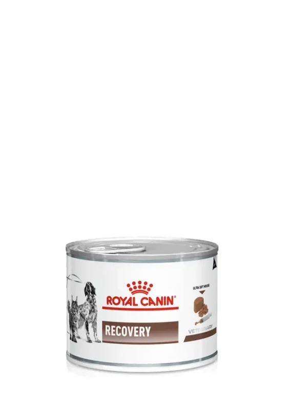 ROYAL CANIN - Recovery - Alimento húmedo para perros