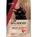 carne argentina gato