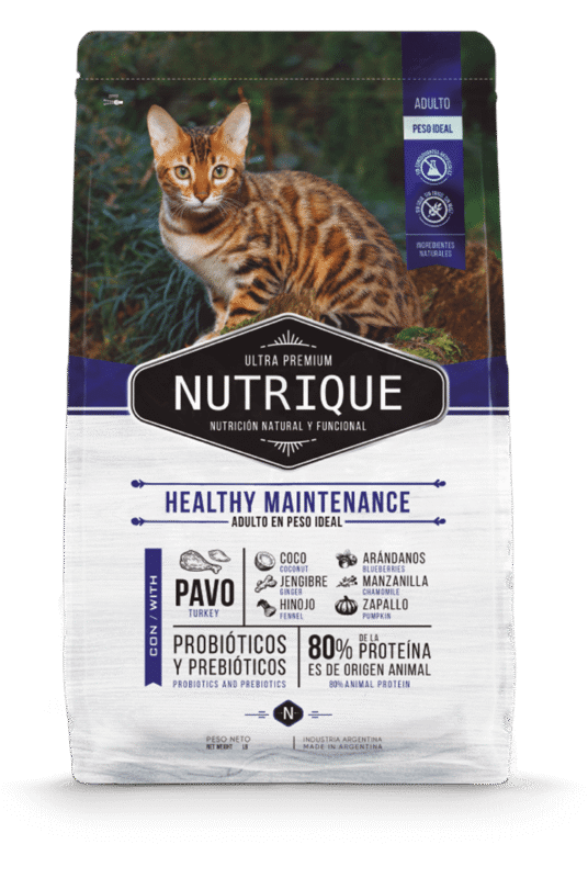 nutrique envase gato maintenance @2x