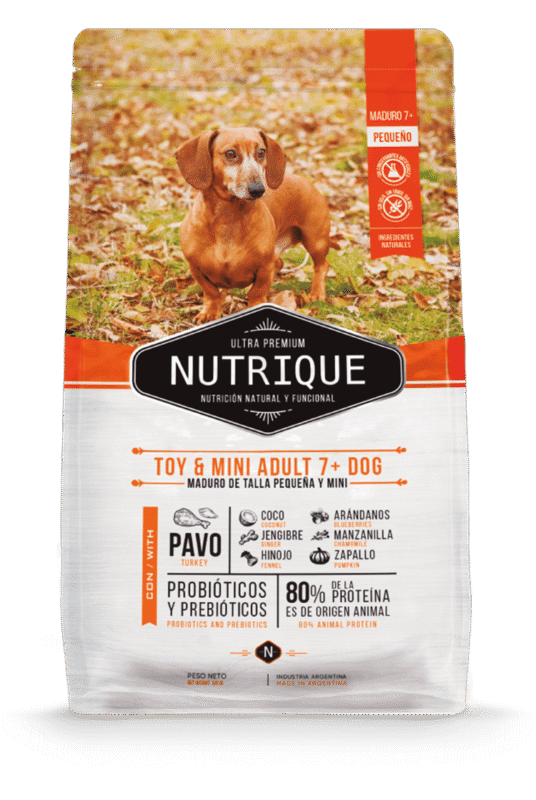 nutrique envase perro adult toy @2x