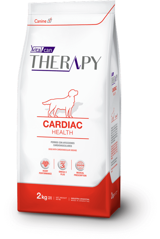 therapy cardiac caninos@2x
