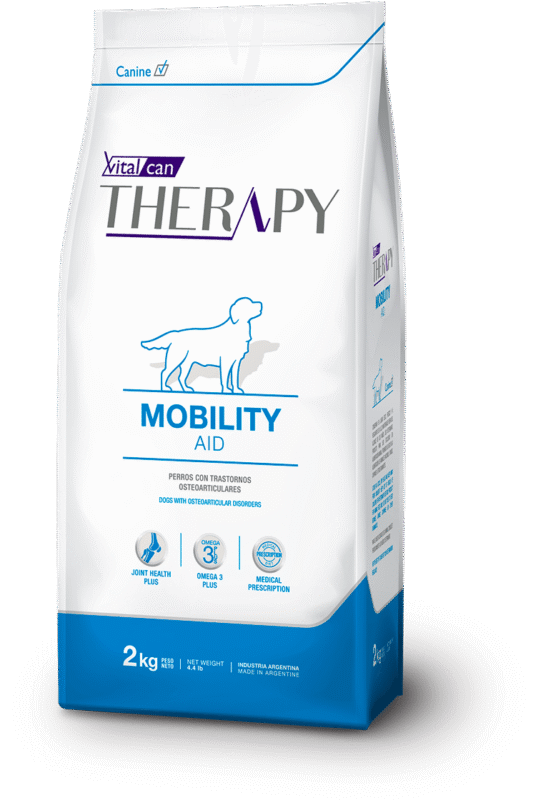 therapy mobility caninos@2x 1