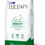therapy obecity felinos@2x