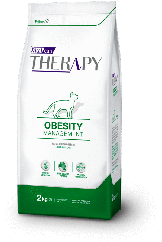 therapy obecity felinos@2x