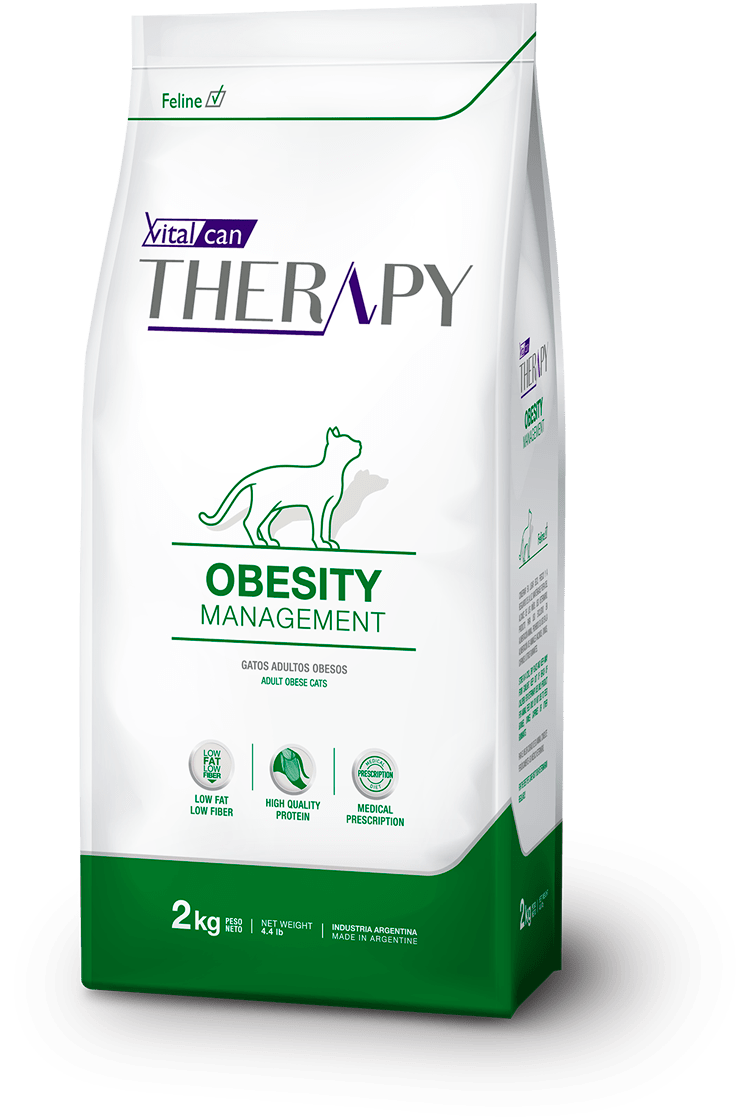 therapy obecity felinos@2x therapy obecity felinos@2x
