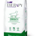 therapy obesity caninos@2x
