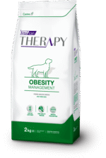 therapy obesity caninos@2x