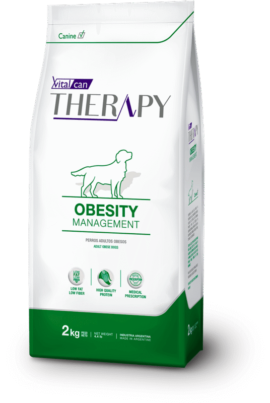 therapy obesity caninos@2x