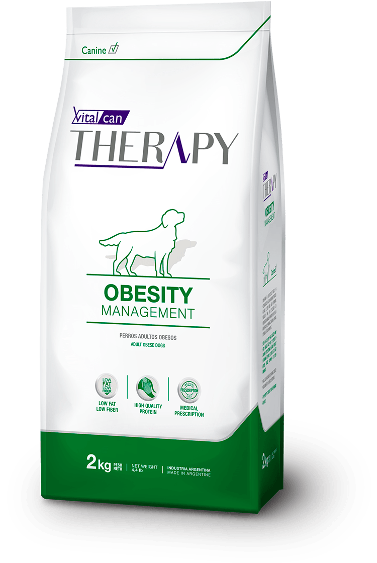 therapy obesity caninos@2x therapy obesity caninos@2x