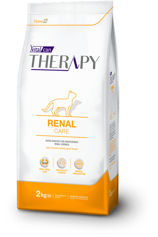 therapy renal felinos@2x